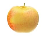Malus Domestica James Grieve 130 cm / 5 Liter Topf- Apfelbaum - Halbstamm - Topfgewachsen - Apfel James Grieves