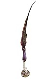 seltene Voodoo Lilie - Sauromatum, blühfähige Knolle aus Indien - faszinierender Trockenblüher - Aronstabgewächs/Eidechsenwurz