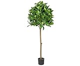 kunstpflanzen-discount.com Künstlicher Lorbeerkugelbaum mit Hochstamm und 539 Blätter, 120cm hoch - Lorbeerbaum Lorbeer Kunstbaum