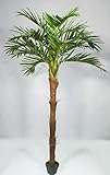 Seidenblumen Roß Phönixpalme mit Kokosstamm 220cm ZJ künstliche Palmen Kunstpalmen Kunstpflanzen Dekopalme