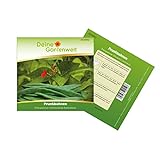 Prunkbohnen Feuerbohnen Preisgewinner Bohnen Samen - Phaseolus coccineus - Bohnensamen - Gemüsesamen - Saatgut für 15 Pflanzen - Samen von Deine Gartenwelt