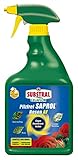 Substral Celaflor Pilzfrei Saprol Rosen AF, anwendungsfertiges Spray gegen Pilzkrankeiten an Rosen, 750 ml