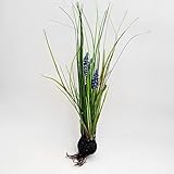 Kunst-Pflanze Deko Trauben-Hyazinthe blau violett mit Gräser in Erde, Gesamt-Höhe: ca.41cm, 4 Blütenstände, Wurzelballen Durchmesser: ca. 5,5cm