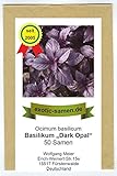 Ocimum basilicum - Basilikum 'Dark Opal' - 50 Samen