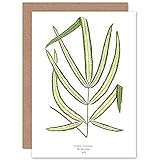 Wee Blue Coo Leaf Pteris Cretica Greeting Card With Envelope Inside Premium Quality
