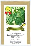 Ocimum basilicum - Basilikum 'Mammut' - Riesen-Basilikum - 500 Samen