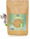 Martenbrown® Luzerne Saatgut 2,5kg Ewiger Klee Samen | Alfalfa Saat | Gründüngung zweijährig für Garten und Gemüse-Beet