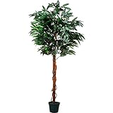 PLANTASIA Kunstpflanze Mangobaum 180 cm