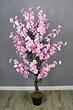 Kunstpflanze Blütenbaum 120 cm Wintersweet Künstliche Pflanze Blüten Kunstbaum im Topf Frühlings Pflanze (Pink)