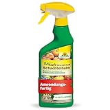 Neudorff BioKraft Grundstoff Schachtelhalm – Anwendungsfertiges Spray gegen Pilzkrankheiten an Obst und Gemüse, 100% natürliche Inhaltsstoffe, 500 ml