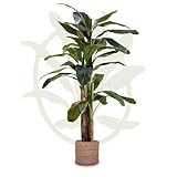 Maia Shop | Künstliche Bananenpflanze | Kunstpflanze | Maße: 210 x 110 cm | Große künstliche Pflanze | Fake Plant | Plastik Pflanze | Deko | Deko Wohnzimmer