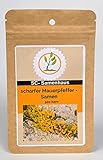 Mauerpfeffer, scharfer Sedum acre 500 Samen SC-Samenhaus gelb