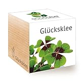 Feel Green 296275 Ecocube Glücksklee, Nachhaltige Geschenkidee (100% Eco Friendly), Grow Your Own/Anzuchtset, Pflanzen Im Holzwürfel, Made in Austria, natural