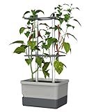 GUSTA GARDEN Charly Chili Chilitopf - Pflanzentopf mit Rankhilfe, Bewässerungssystem & Robustem Rahmen (Hellgrau, Regular)