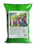 Linsor Lupinen Gründünger, blaue Süßlupine, Blumensamen, Bodenverbesserer Herbst, 1kg für 30m²