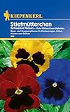 Kiepenkerl Stiefmütterchensamen Schweizer Riesen Mischung - Blumensamen für Kübel & Kästen, Wuchshöhe 20cm, Ideal für Beet- & Gruppenpflanzung