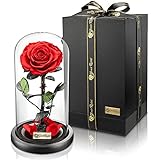 YourRoses® echte Premium Rose im Glas mit Einer wunderschönen Geschenkbox | Lange Haltbarkeit & edles Geschenk als Liebesbeweis | EIN Geschenk vom Herzen