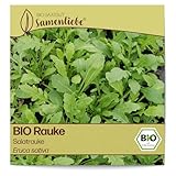 Samenliebe BIO Rauke Samen alte Sorte Salatrauke mild nussige Rucola Salatkraut grün 500 Samen samenfestes Kräuter Saatgut für Küche indoor und Balkon Garten BIO Kräutersamen