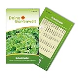 Schnittsalat Verde ricciolina da taglio Samen - Lactuca sativa - Schnittsalatsamen - Gemüsesamen - Saatgut für ca. 1.500 Pflanzen