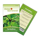 Thai Basilikum Siam Queen Samen - Ocimum basilicum - Basilikumsamen - Kräutersamen - Saatgut für 100 Pflanzen