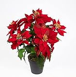Seidenblumen Roß Weihnachtsstern Nature 38cm samt-rot im Topf PM künstliche Blume Kunstpflanze Kunstblumen Poinsettie