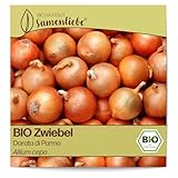 Samenliebe BIO Zwiebel Samen alte Sorte Dorata di Parma 200 Samen samenfestes Gemüse Saatgut für Gewächshaus und Freiland BIO Gemüsesamen