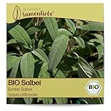 Samenliebe BIO Salbei Samen alte Sorte Echter Salbei würzige Gartenkräuter 100 Samen samenfestes Kräuter Saatgut für Küche indoor und Balkon Garten BIO Kräutersamen mehrjährig und winterhart