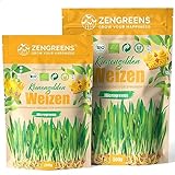 ZenGreens® - Bio Weizen Sprossen Samen in - Wähle zwischen 10g, 200g und 500g - Weizengras Samen mit Keimrate von über 96% - Getreide Saatgut - Weizensamen ideal für Microgreens - Keimsprossen Samen