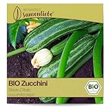 Samenliebe BIO Zucchini Samen alte Sorte Striato D'Italia aromatisch milde italienische Zucchini gestreift 10 Samen samenfestes Gemüse Saatgut für Gewächshaus Freiland und Balkon BIO Gemüsesamen