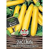 Sperli Zucchinisamen Orelia, F1 83608 - Gefriergeeignet, goldgelbe Früchte, ertragreich und robust, Samen Gemüse, ideal für Gartenbeet, Zucchini Saatgut für 6 Pflanzen