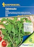 Kiepenkerl Profi-Line Salatrauke Astra PowerSaat - Aromatischer Rucola Samen für Garten & Topf, Winterharter Wintersalat, Leicht Nussiger Geschmack, Raschwüchsiges Salatkraut für Jede Jahreszeit