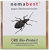 nemabest® HB Nematoden zur Bekämpfung des Dickmaulrüsslers - gegen Insekten, 10 Mio. für 20m²