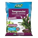 Westland Tongranulat, 5 l – Pflanzgranulat ideal für Hydrokultur, Drainage Substrat ohne chemische Zusätze, für Innen- und Außenbereich, ton