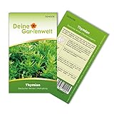 Thymian Deutscher Winter Samen - Thymus vulgaris - Thymiansamen - Kräutersamen - Saatgut für 150 Pflanzen
