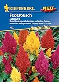 Kiepenkerl Profi-Line Federbuschsamen Mischung 3503 – Bunte Blumensamen Mischung - Robust und leicht gedeihend - Höhe ca. 50 cm - Wildblumensamen, Saatgut