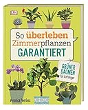 So überleben Zimmerpflanzen garantiert: Grüner Daumen für Anfänger