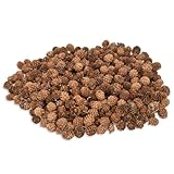 NaDeco Lärchen Zapfen Natur ca. 2-3cm 1kg, ca. 350-400 Stück | Larix Decidua | Lärchenzapfen | Dekozapfen | Zapfen zum Basteln | Tannenzapfen | Naturzapfen | Insektenhotel | Weihnachtsdeko