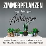 Zimmerpflanzen für Anfänger: Wie Sie die für Sie besten Pflanzen auswählen, gestalten und auch ohne grünen Daumen erfolgreich großziehen und pflegen