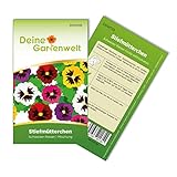 Stiefmütterchen Schweizer Riesen Mischung Samen - Viola wittrockiana - Stiefmütterchensamen - Blumensamen - Saatgut für 50 Pflanzen