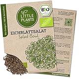 Litte Plants BIO Eichblattsalat Samen, 120 Salatsamen, hohe Keimrate, 100% Natürlich, BIO Samen Eichblattsalat Salad Bowl für Gemüsegarten, Gemüsebeet, Hochbeet – BIO Gemüsesamen Saatgut Nachhaltig