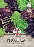 83033 Sperli Premium Salat Samen Mix | Pflücksalat Samen | Salatsamen Pflücksalat | Lollo Rosso Samen | Lollo Bionda | Eichblatt Rot Grün