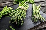100 Samen Grünspargel Mary Washington Spargel Asparagus Gemüse Vegetables Seeds