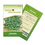 Löwenzahn Kultivierter Samen - Taraxacum officinale - Löwenzahnsamen - Kräutersamen - Saatgut für 100 Pflanzen
