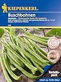 Kiepenkerl Buschbohnensamen Modesto Vorteilspack 246 - ertragreiche, robuste, resistente und gesunde Bohne - 14 cm lang - Gemüsesamen, Saatgut, Bohnen