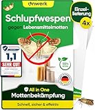 anwerk® Schlupfwespen gegen Lebensmittelmotten - 4 Karten à 1 Lieferung - Effektiv Lebensmittel Motten bekämpfen - Alternative zur Mottenfalle, Mottenspray, Pheromonfalle (4X Karten à 1 Lieferung)