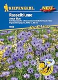 Kiepenkerl Profi-Line Rasselblumensamen Amor Blue 4053 – Schnittgeeignet - Höhe ca. 60 cm - Inhalt für ca. 40 Pflanzen - Blumenwiese Samen, Saatgut