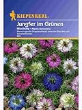 Kiepenkerl Jungfer-Im-Grünen, Mischung
