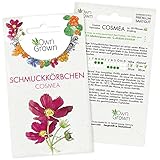 Cosmea Samen Bunt: Premium Schmuckkörbchen Cosmeen Samen für 100x blühende Schmuckkörbchen Pflanze – Essbare Blumen Samen – Bunte Blumensamen Schmuckkoerbchen Saatgut – Wiesenblumen Samen von OwnGrown
