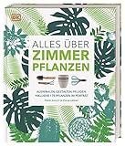 Alles über Zimmerpflanzen: Auswählen, gestalten, pflegen: Inklusive 175 Pflanzen im Porträt