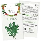 Rucola Samen: Premium Rucola Saatgut für die Anzucht von ca. 500 Rucola Pflanzen – Samenfeste Wilde Rauke Gemüse Samen – Gemüse Saatgut für Garten und Hochbeet – Samen Gemüse – OwnGrown Rucola Saat…